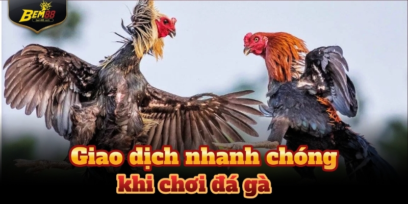 Thế mạnh của đá gà Bem88 là hệ thống thanh toán tiện lợi và nhanh gọn