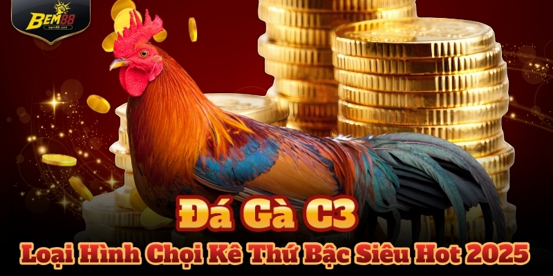 Đá Gà C3