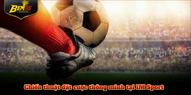 Chiến thuật đặt cược thông minh tại IM Sport