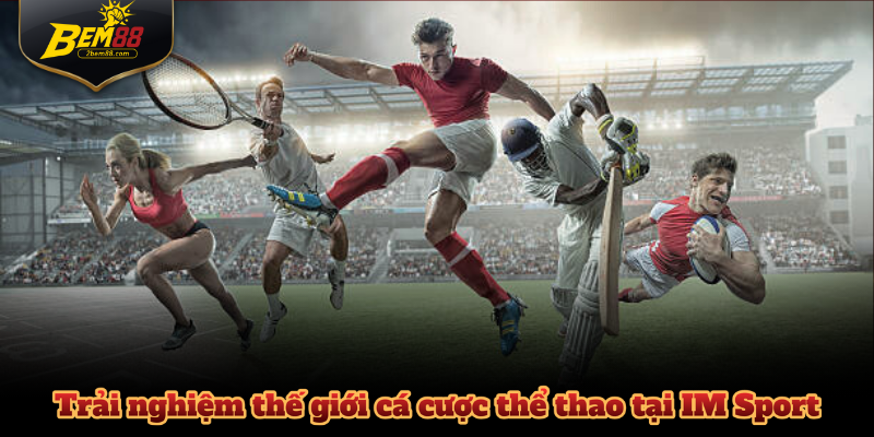 Trải nghiệm thế giới cá cược thể thao tại IM Sport