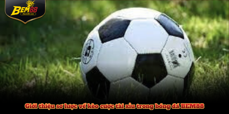 Giới thiệu sơ lược về kèo cược tài xỉu trong bóng đá BEM88